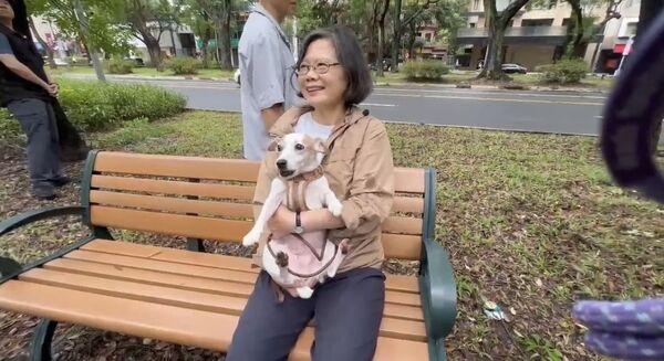 动作频频酝酿“强势回归”？　蔡英文近半年做了什么
台湾2025年陷入宪政僵局，民