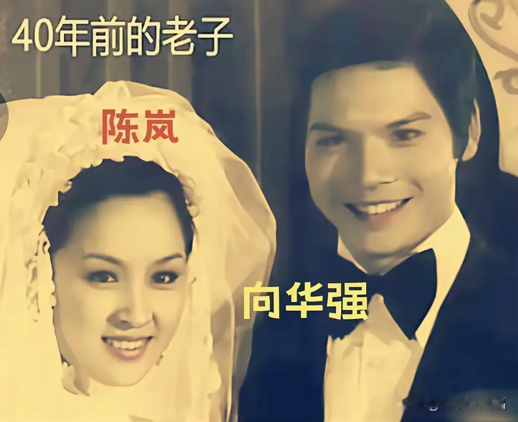 难怪向太这么喜欢郭碧婷呢，郭碧婷确实和年轻时候的向太是一种类型的美女！
向太和向