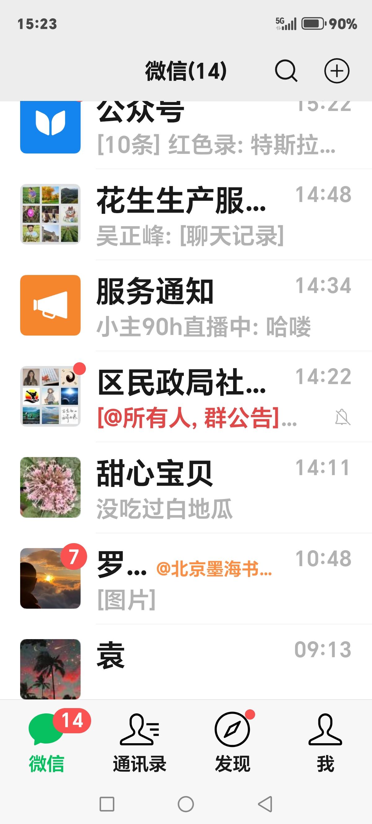 ，什么花都行 石榴花耀枝头。