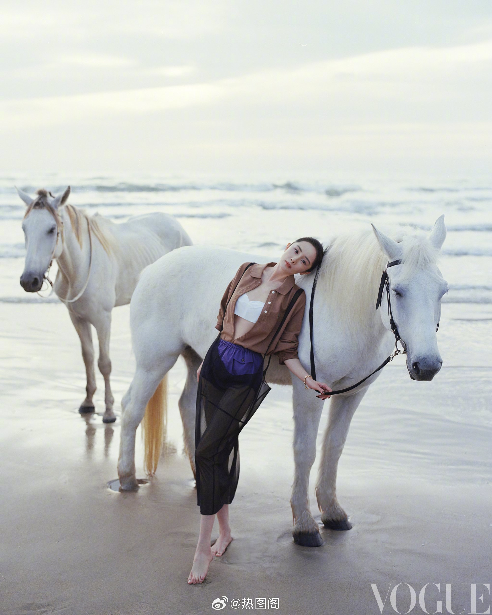 杨幂 VOGUE开年刊由PRADA买单～ 热图阁公众号 