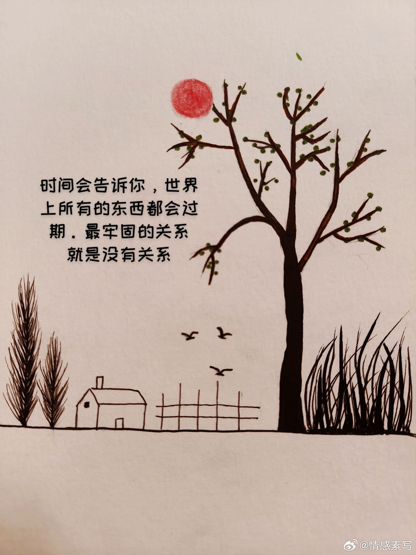 随手拍最好的关系，是互不打扰，各自安好。时间会告诉你，世界上所有的东西都会过期，