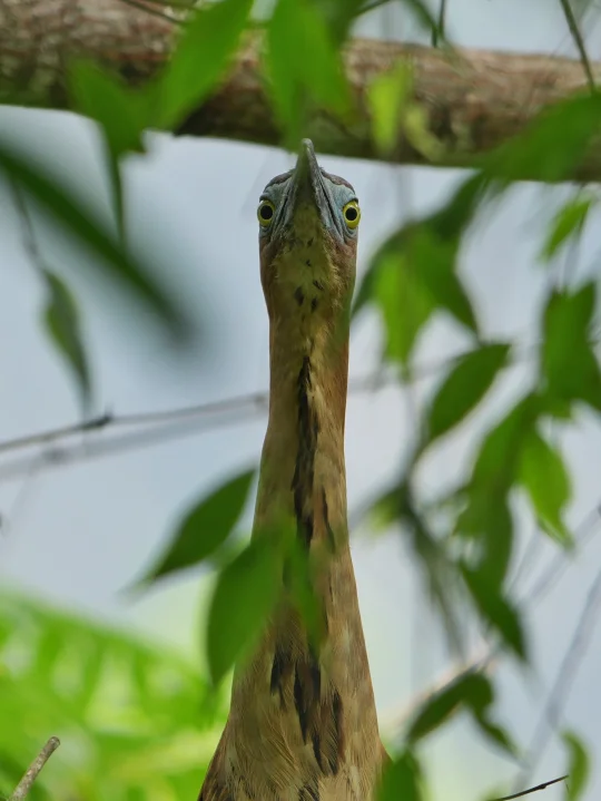 巨幅裁切下的惊人画质