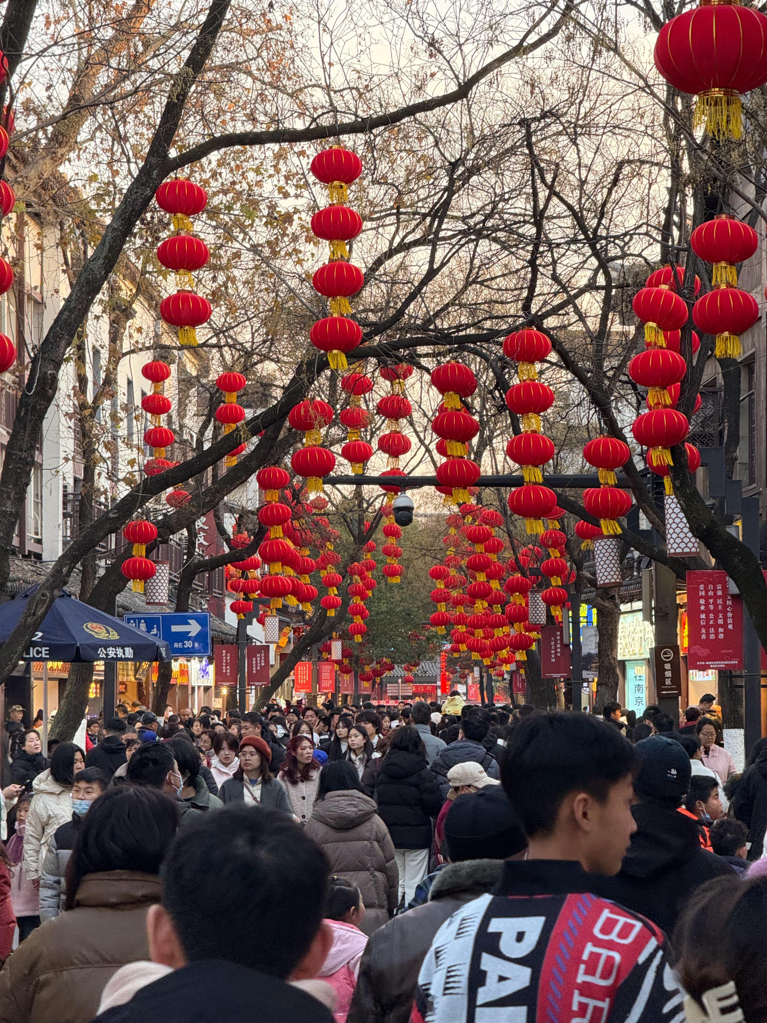 每年的保留项目：来夫子庙逛一圈想起了那句：夕阳西下，断肠人在天涯。[允悲]还挺美