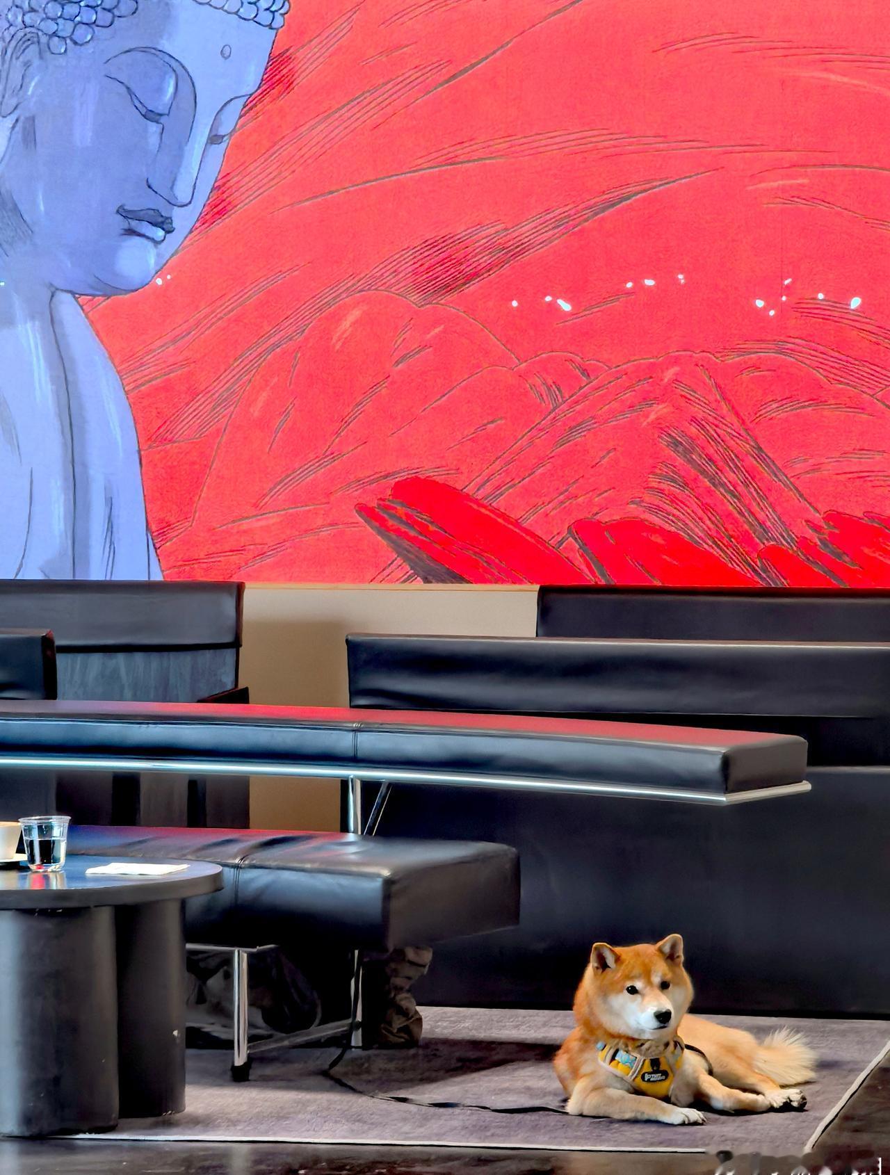 最近北京的天气和市场情况差不多，刚暖和了几天以为春意盎然，结果隔夜就大降温似乎回