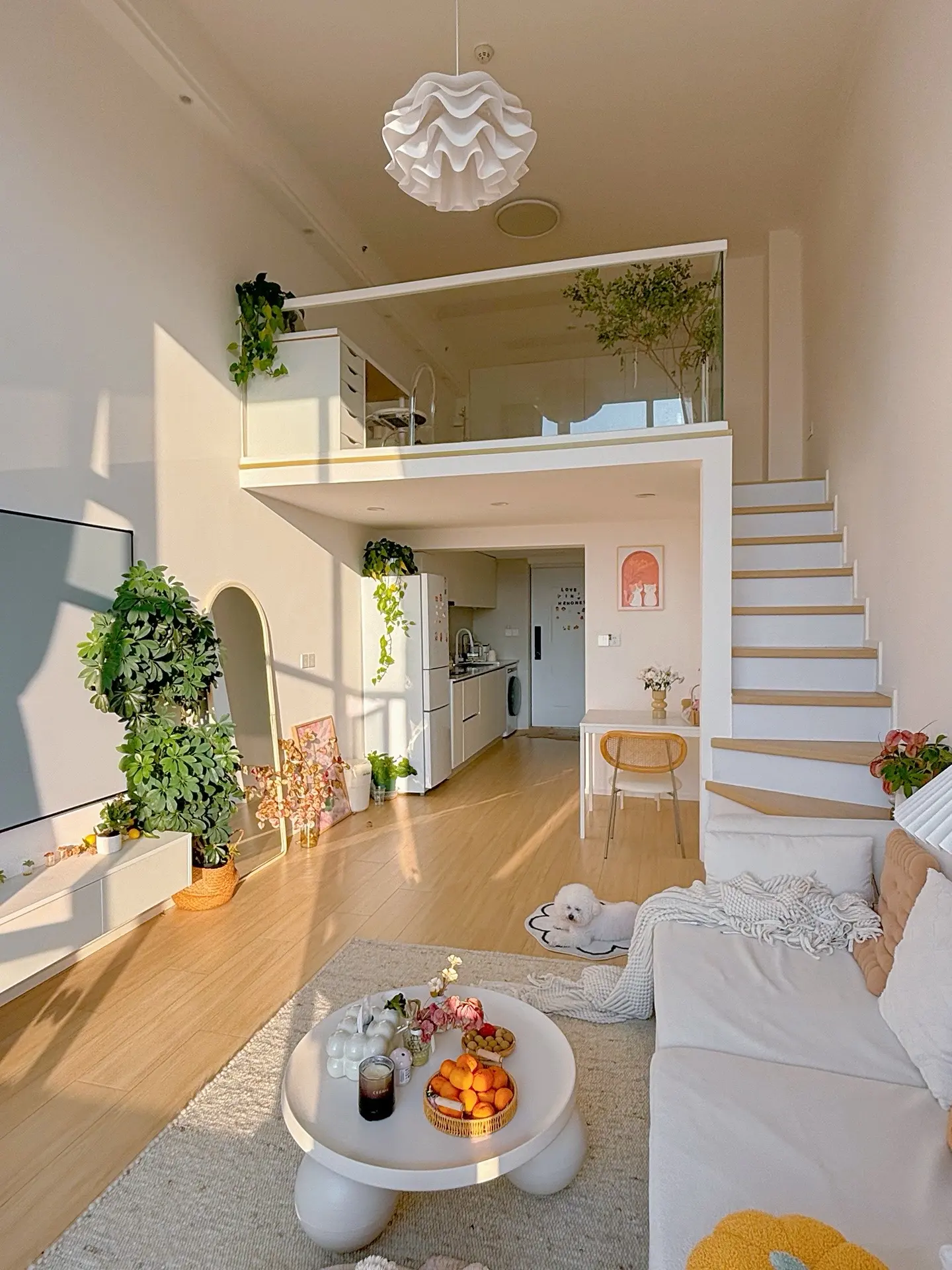 虽然只有28平🥹但一个人住好幸福啊～