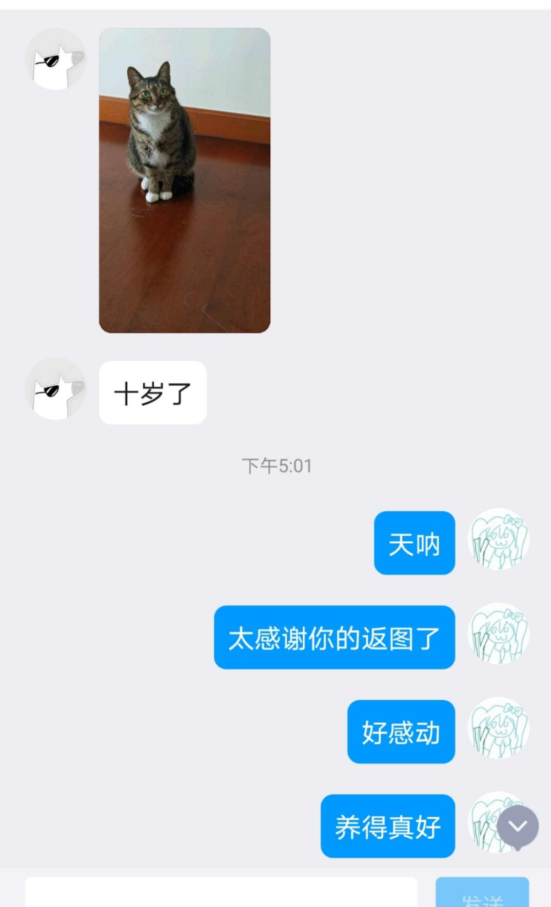 收到十年前送养小猫的返图，真好啊，真希望每一只送养的小猫都能遇到这么好的主人。 