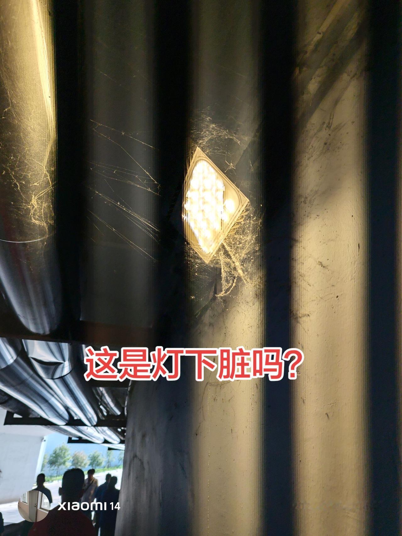 为什么很多人打扫卫生不抬头看一看了，感觉墙角，四周以及房顶很脏啊。