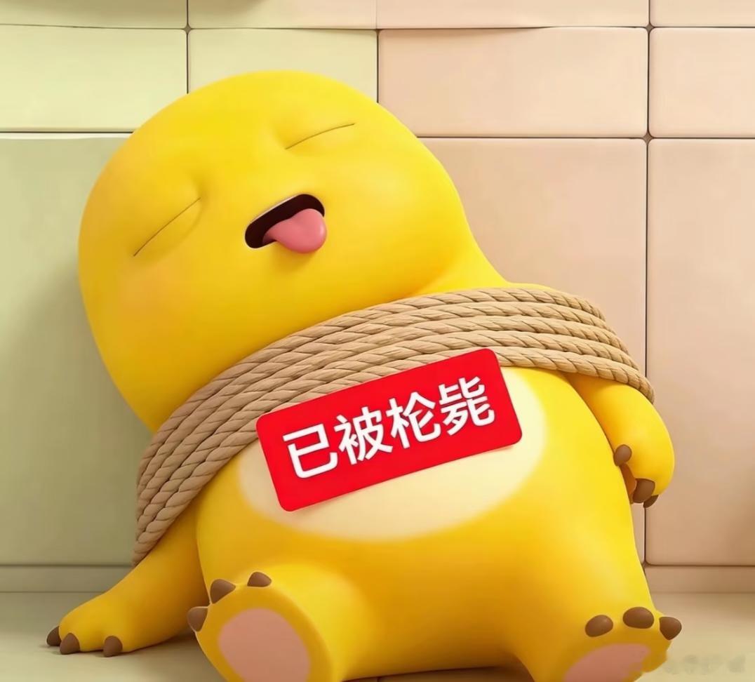 铁石心肠·全世界最尊重绑匪之人·酸栩汽水性命剥夺者—尼玛水，你们坏，如你们所愿因