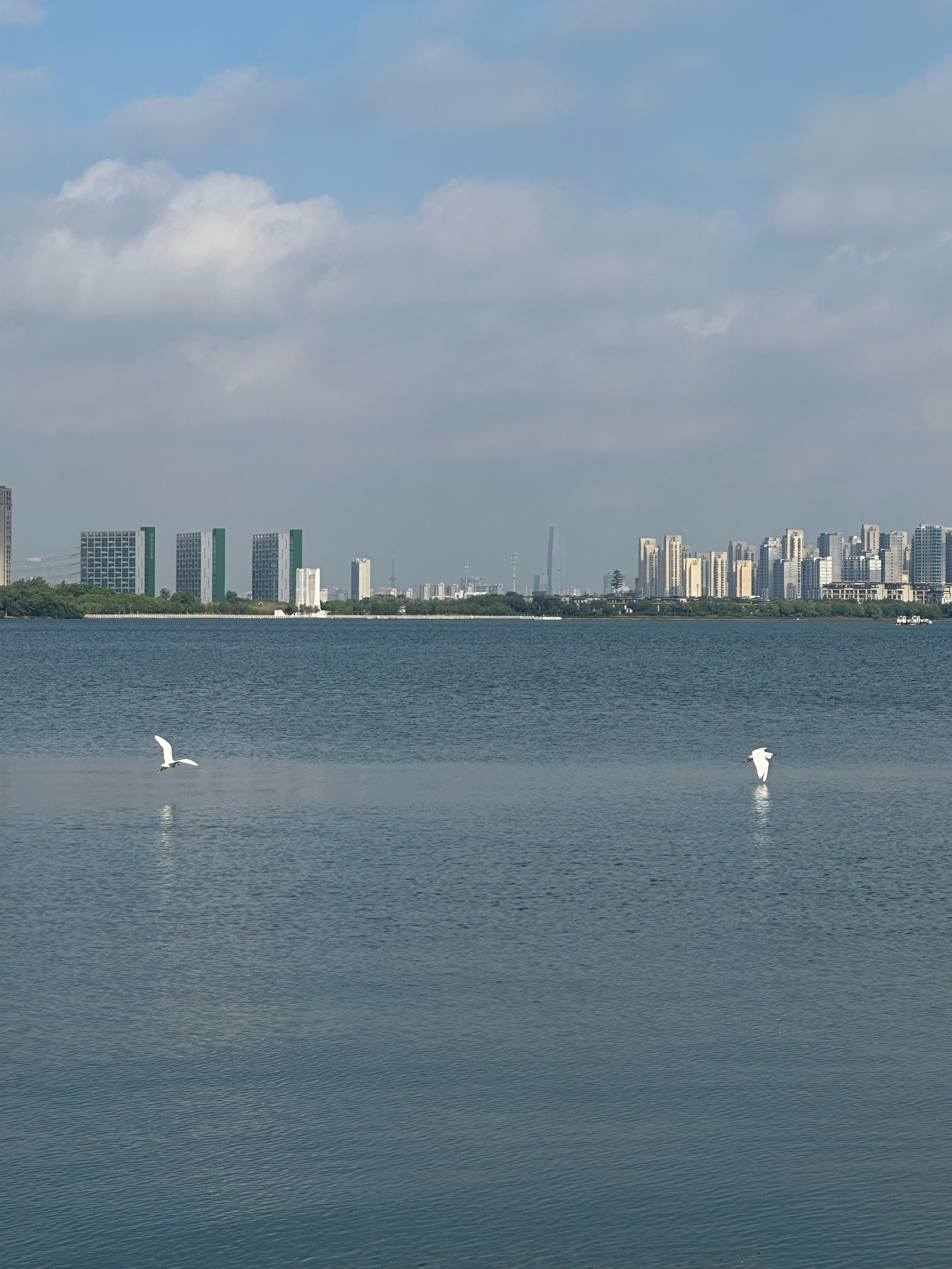 生活手记我的浪漫瞬间 日常碎片记录 独墅湖公园，藏着被湖风揉碎的晴日光影。湖面铺