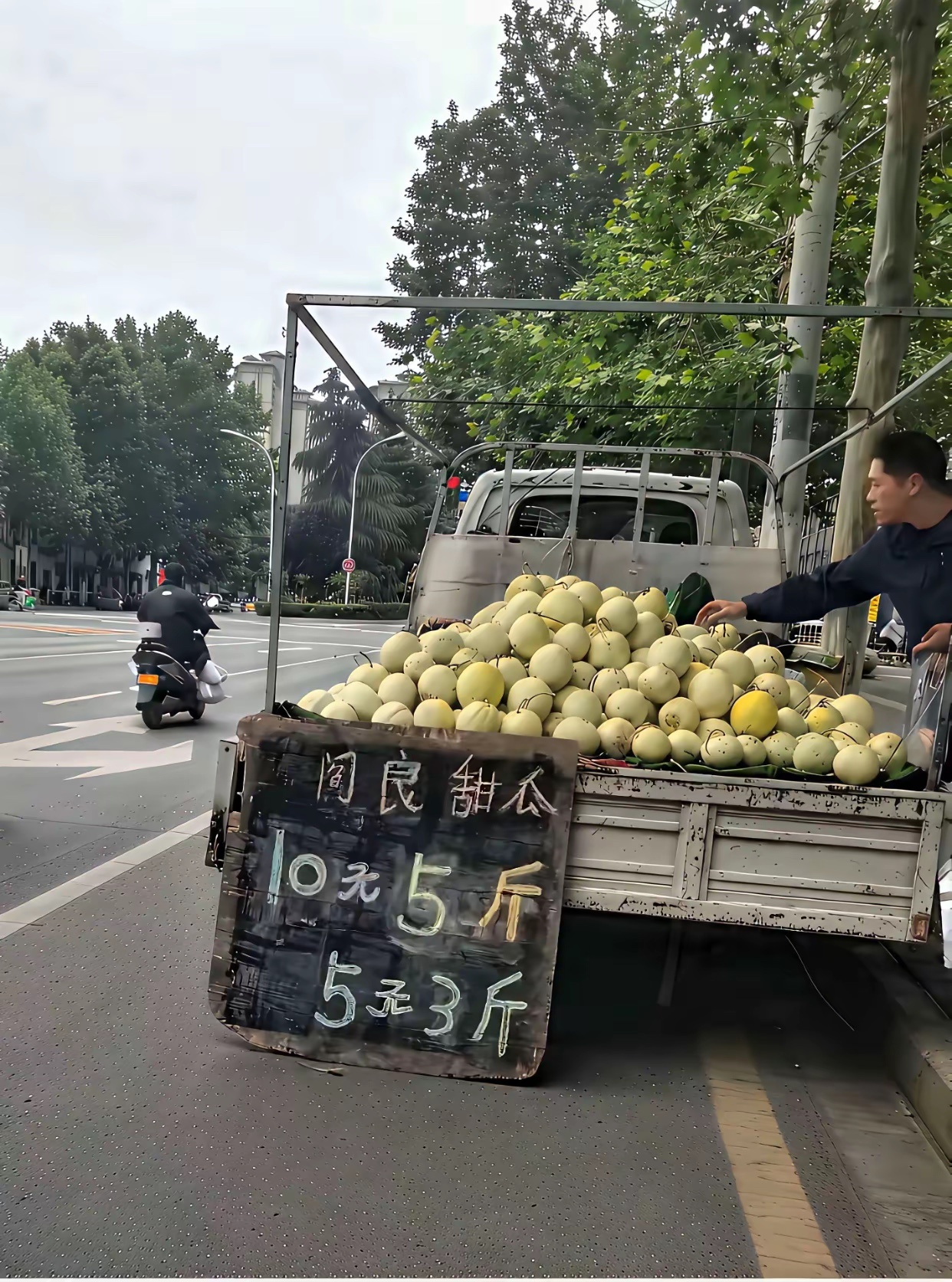 这男人太有商业头脑了。 