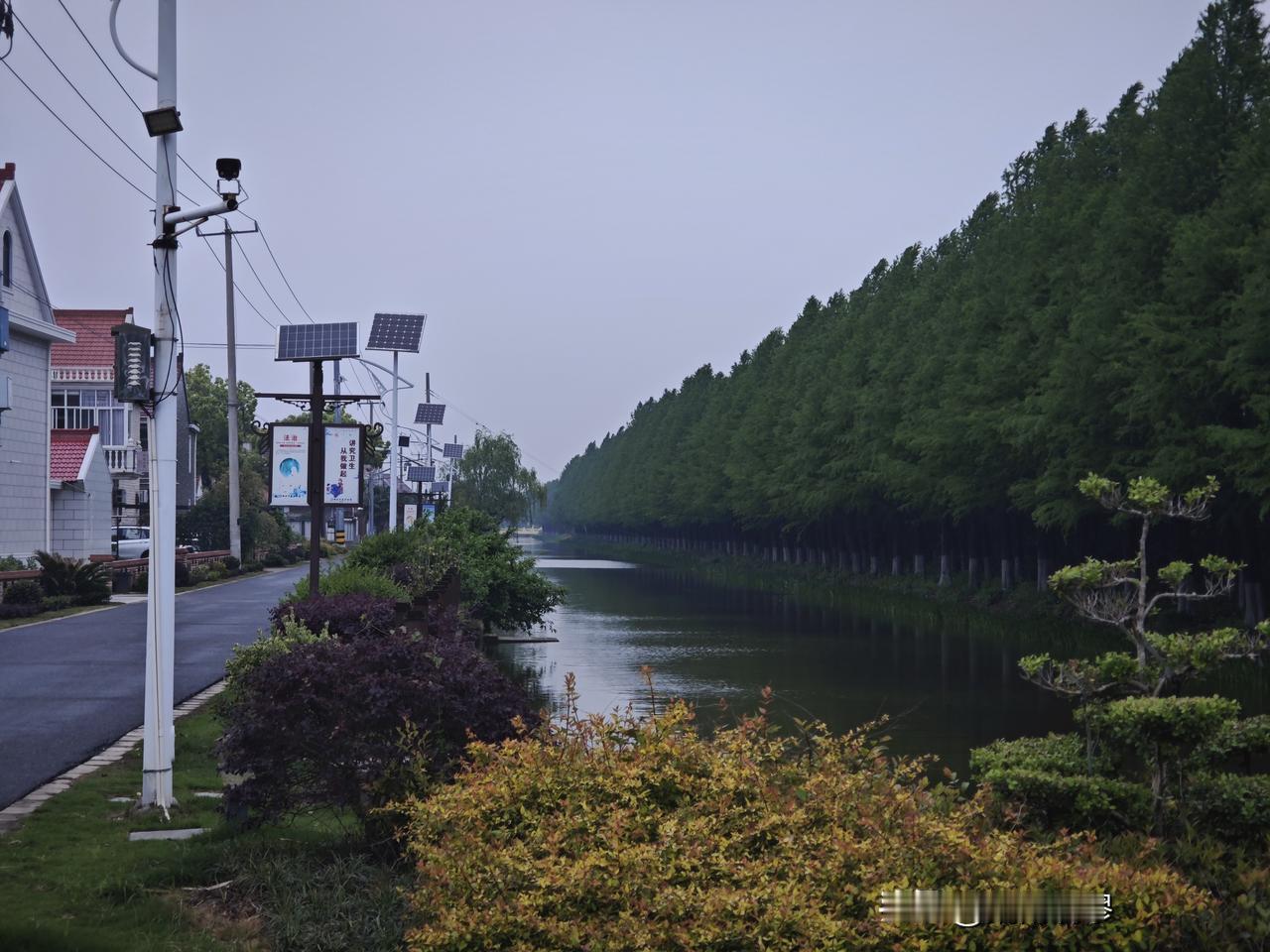 雨后的村庄有一种久逢甘露的景象，绿林花草透露出一股清香伴随着春泥的觉醒绽放着活力
