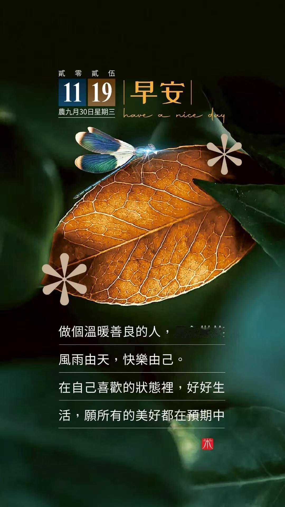 真的假的？这算是清晨福利吗？没细看，因为自己肯定是不符合条件，另外联通电信的都不