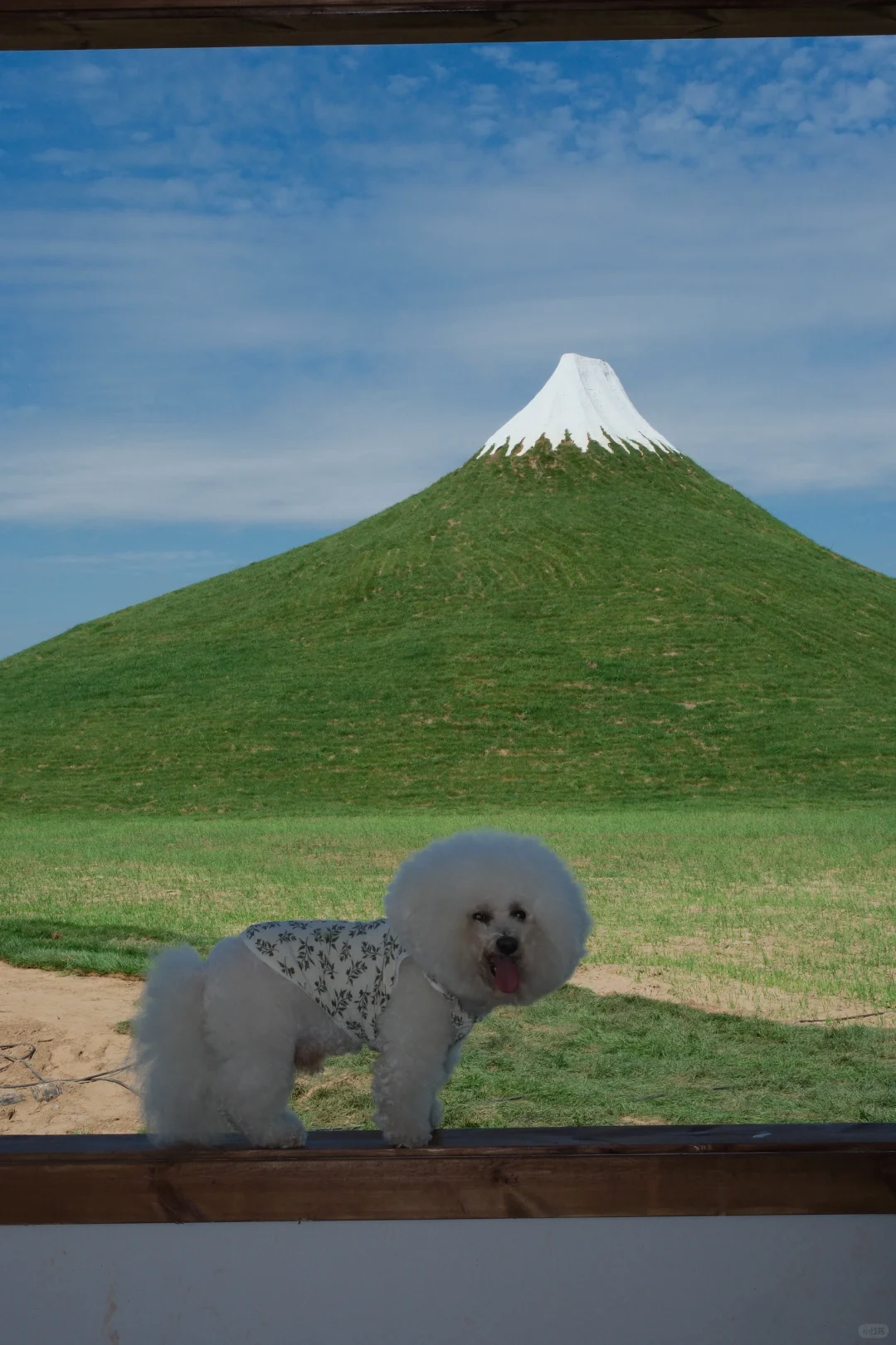 那人 那山 那狗