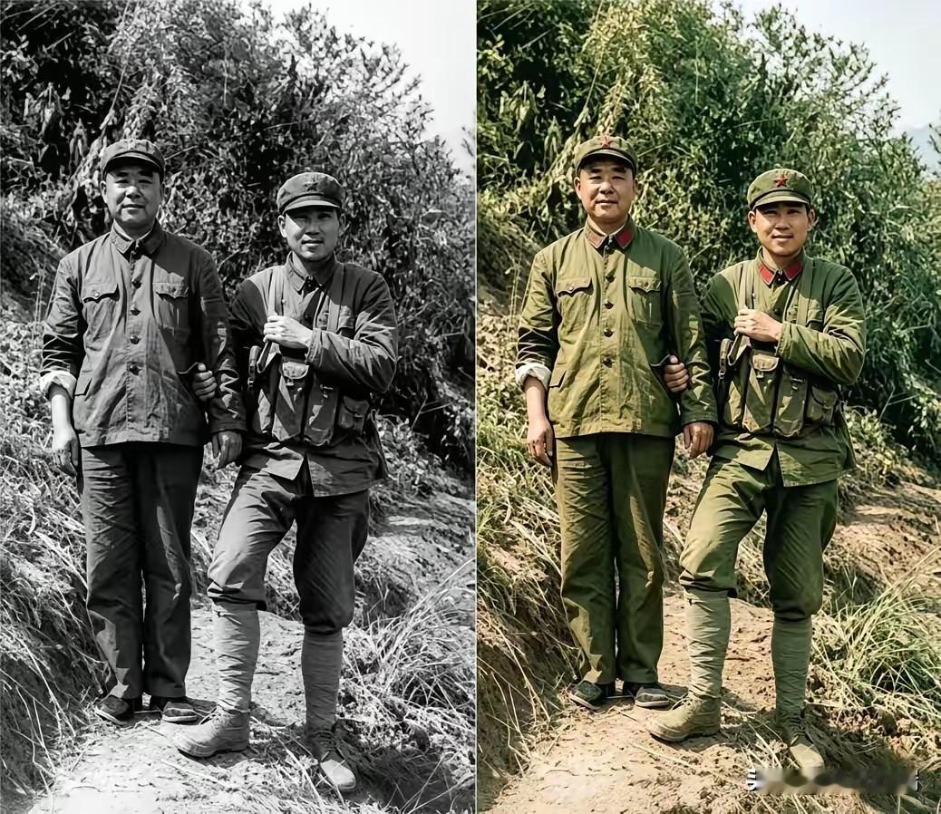 将门虎子！1979年对越自卫反击战的前线，332高地团部，13军副军长战场偶遇儿