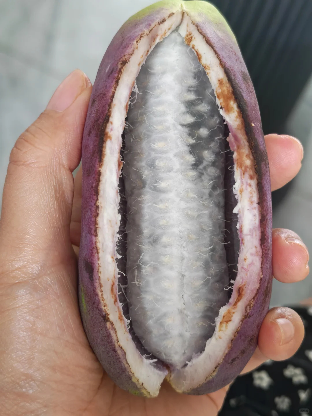 都吃过吗？ 