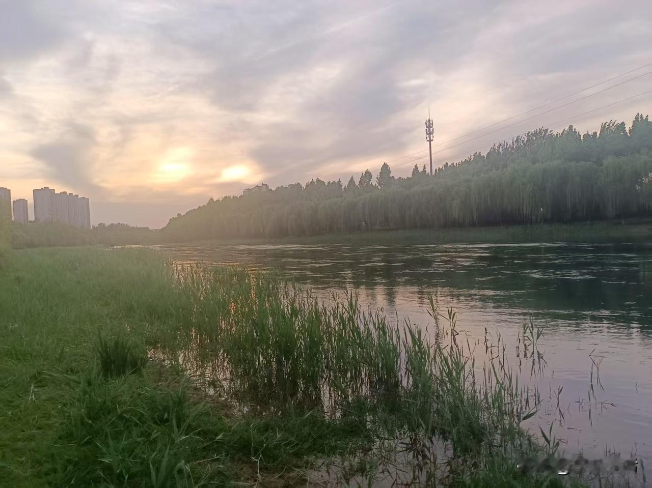 梁东方
傍晚的时候，街道上拥挤不堪，汽车鸣笛、电动车乱窜、自行车见缝插针。
骑车