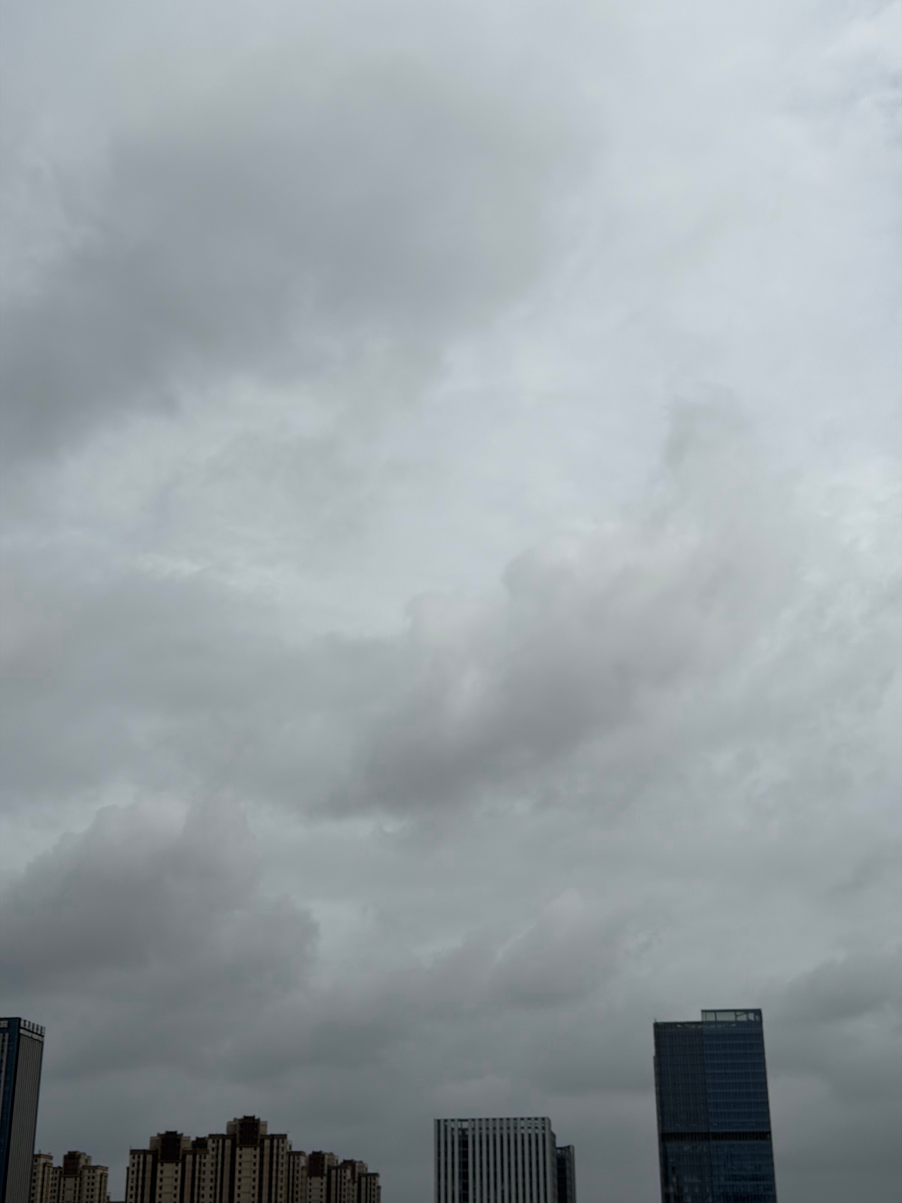 巴威登陆地点有变杭州的云厚了很多，也开始感觉有一阵阵的风了，预计晚上会登陆浙江 