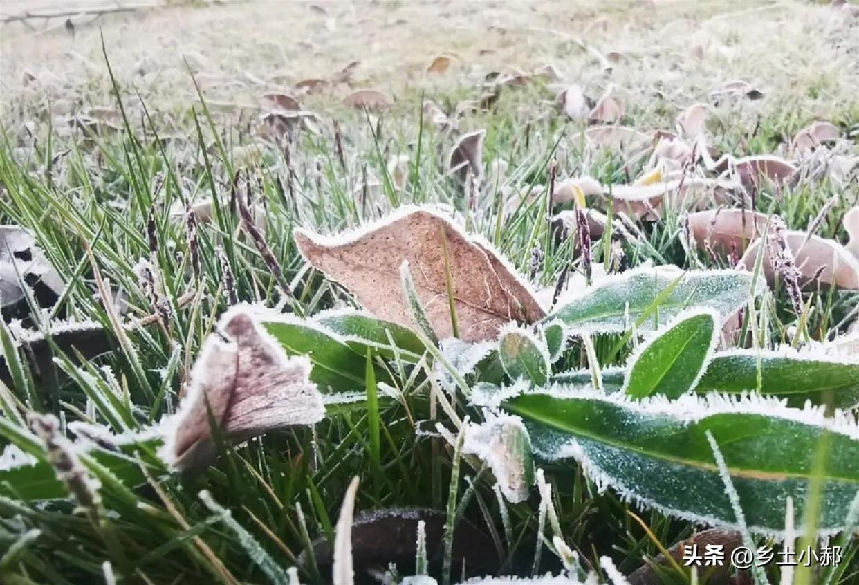 今年霜降不一般，有1个坏消息，2个好消息，早知早做准备

秋处露秋寒霜降，冬雪雪