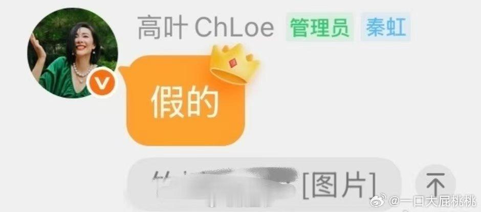 高叶粉丝群辟谣出演第十七条高叶本人辟谣出演第十七条高叶在粉丝群辟谣出演第十七条，