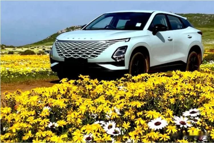 十月，智利车市同比下滑14.8%。中国品牌抗跌能力强，仅下滑2.1%，份额升至3