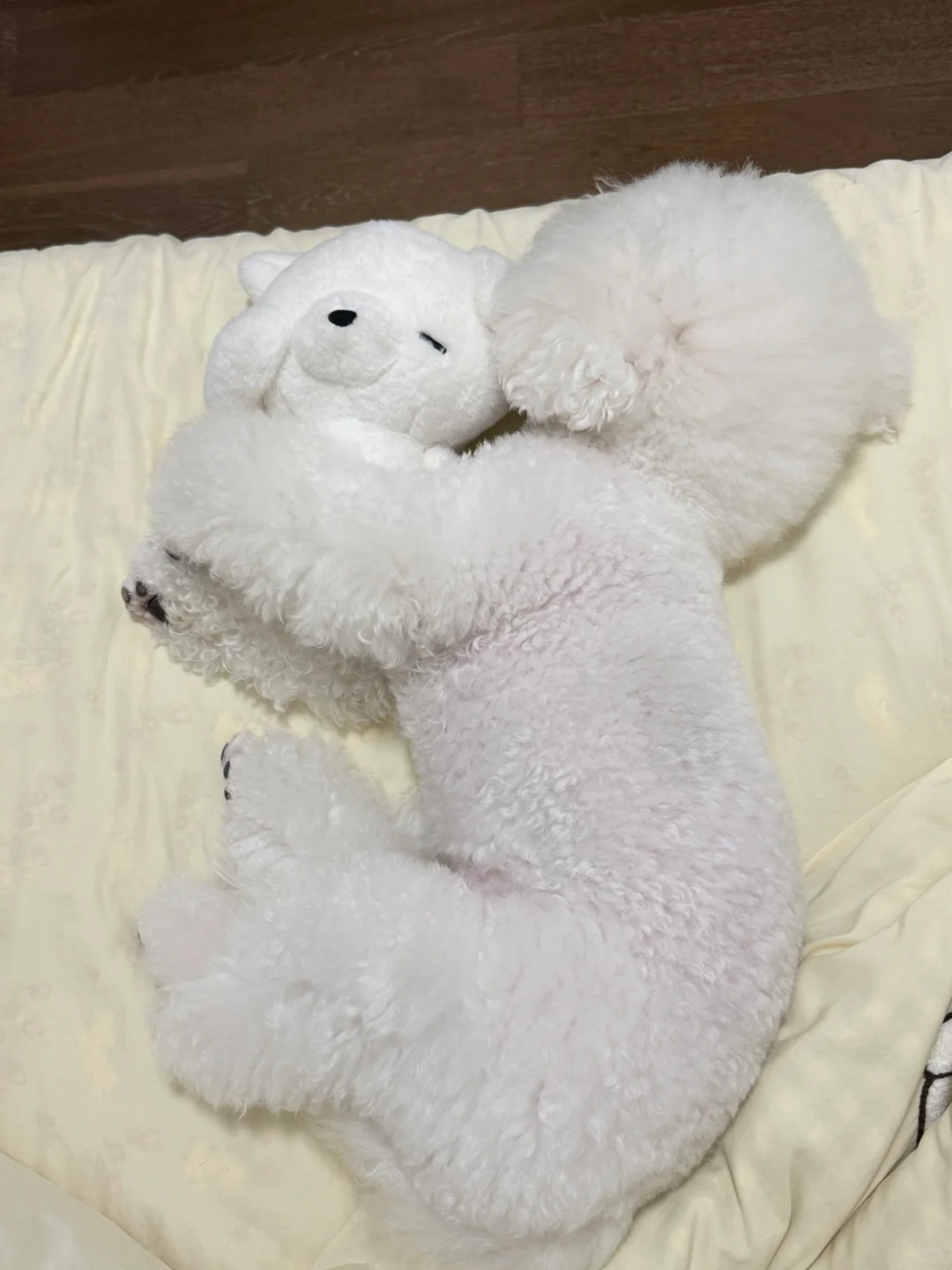 相爱相杀