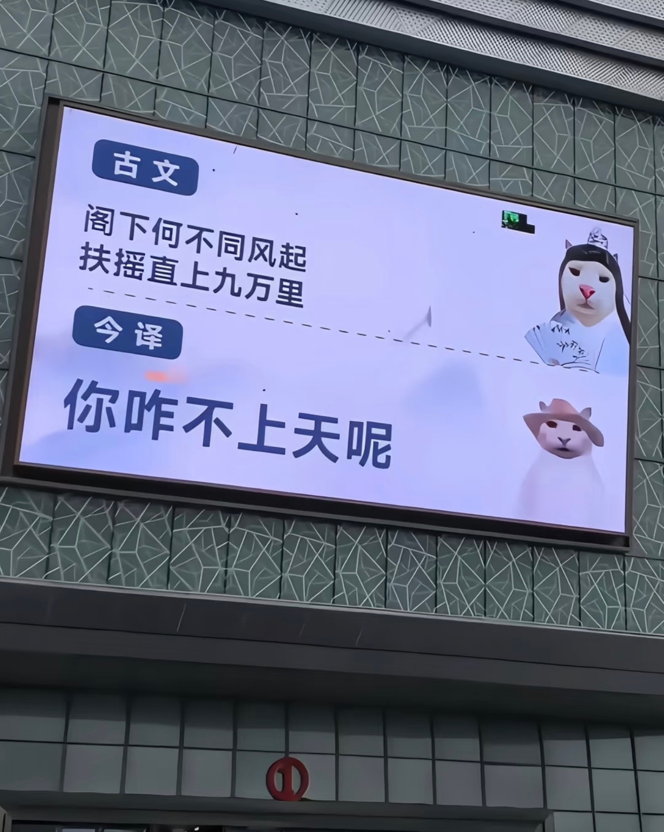 阁下何不同风起，扶摇直上九万里。 ​​​