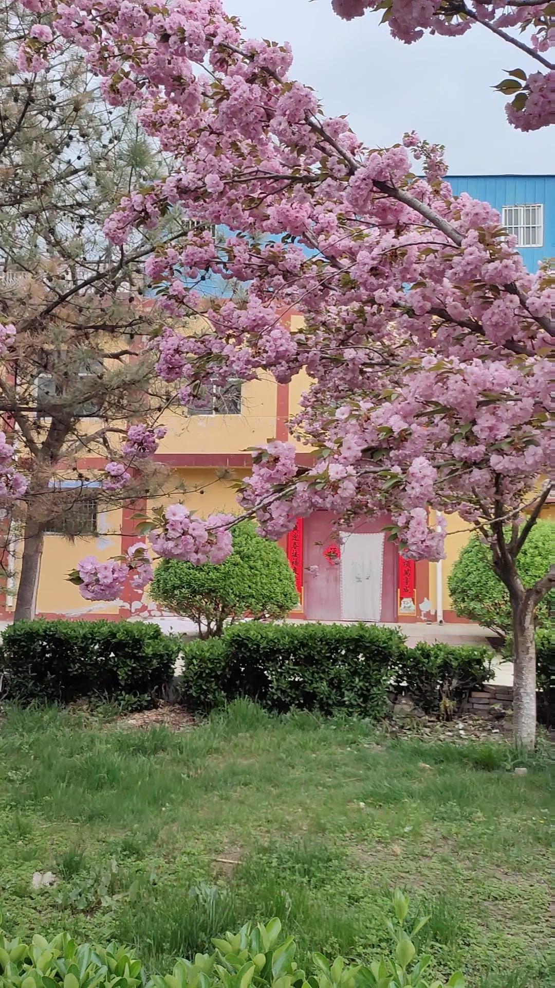 无病无灾、守好自己的一方小天地，平安度过每一个春夏秋冬，这就是我最想实现的心愿。