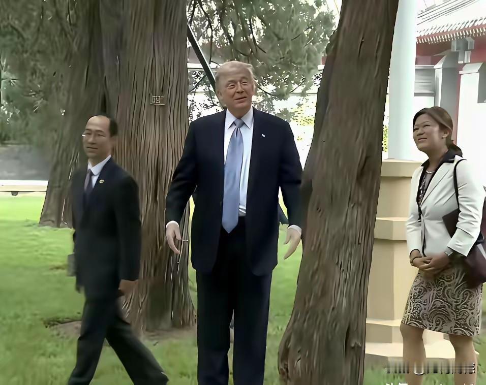 如果不是因为特朗普这张照片，真不知道天坛有这么多古柏，尤其是这株九龙柏，据说已经