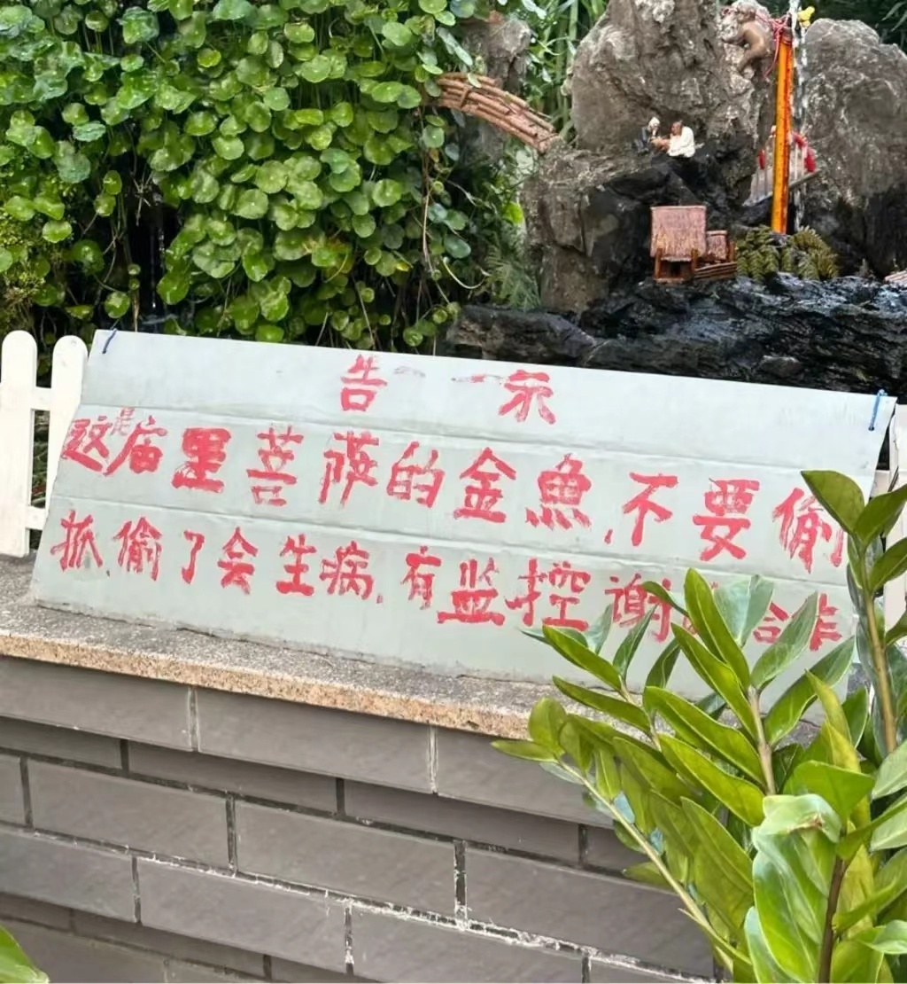 车若初见 这得被游客逼成啥份上