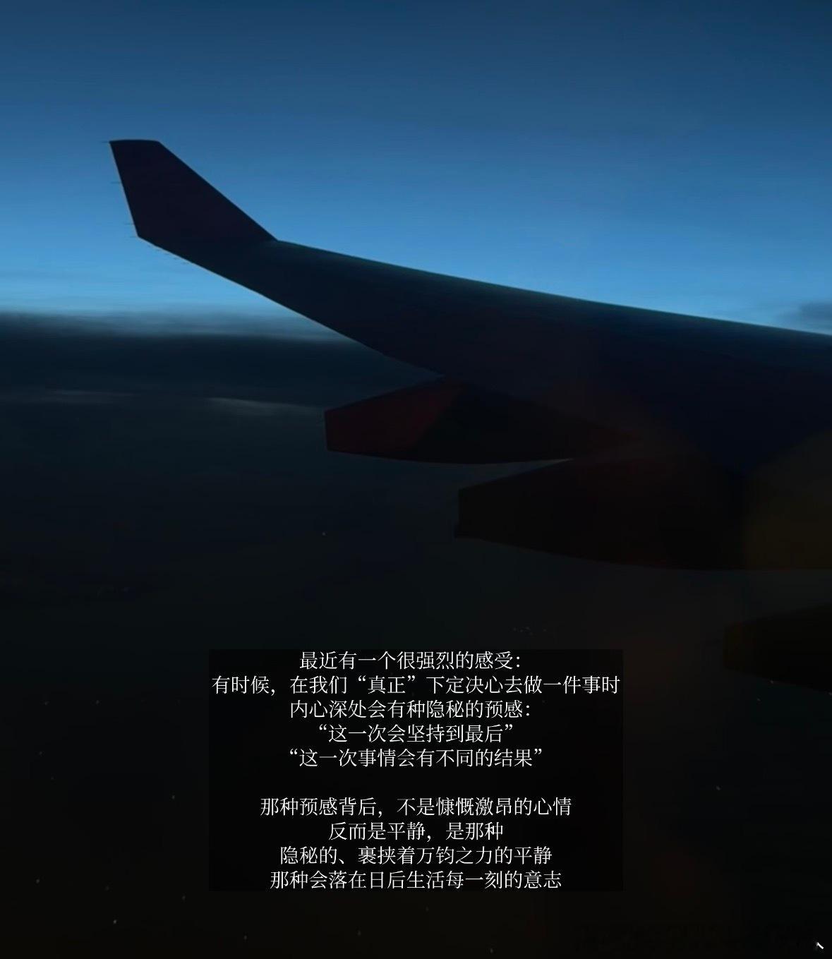 这一瞬间读懂了坚持的意义曾经无数次想过放弃，咬着牙熬过重重难关，直到看见努力开出