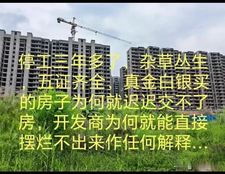 联康城地段绝对是黄金地段，它位于兴南大道的南济桥和锦绣大桥之间，它的正面是兴宁最