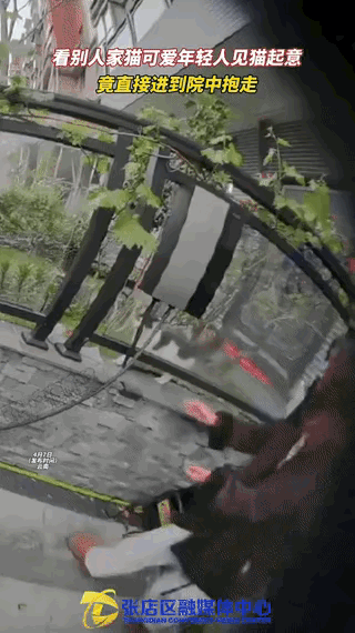 云南，一女子和男友出门闲逛时，看见别人家的猫咪特别可爱，竟直接进入院中，把猫咪抱