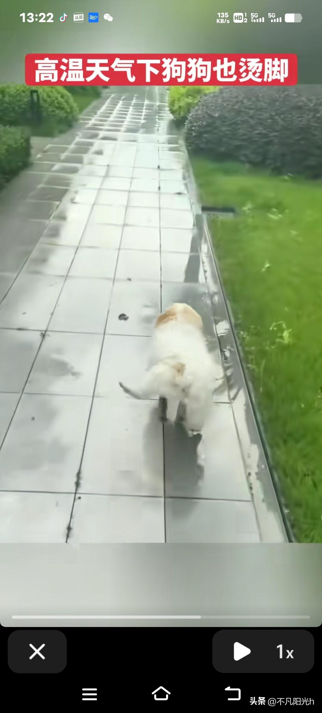 冷空气才刚走没多久，广西人又得把压箱底的短袖翻出来穿了？这天气变化比翻书还急，简