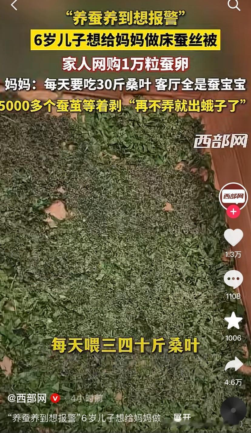 这小孩子的梦想很伟大，但就是甩手了！
5月19日报道的，6岁的的娃想给妈妈做一个