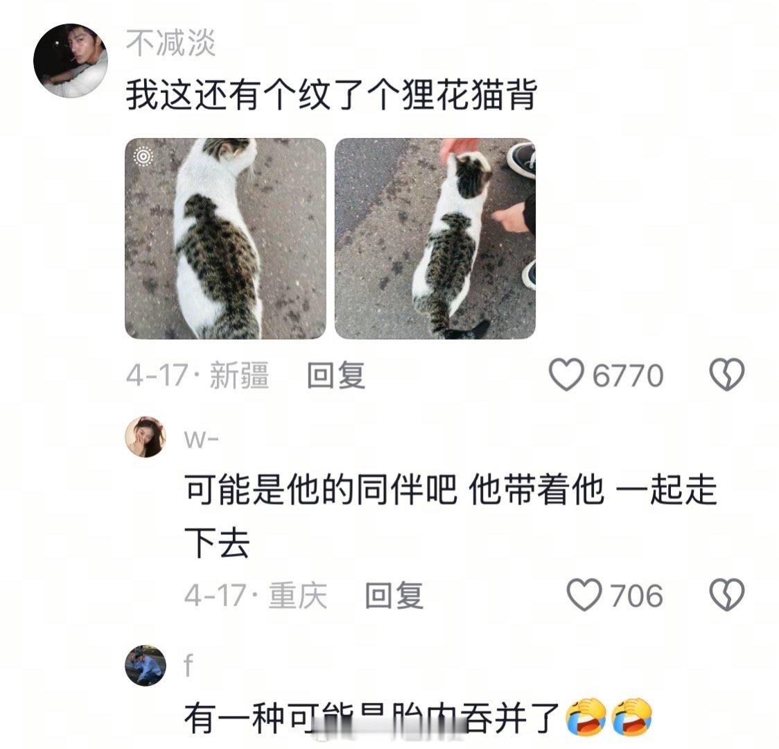 看到这些滑稽的样子后我不怀好意的笑疯了