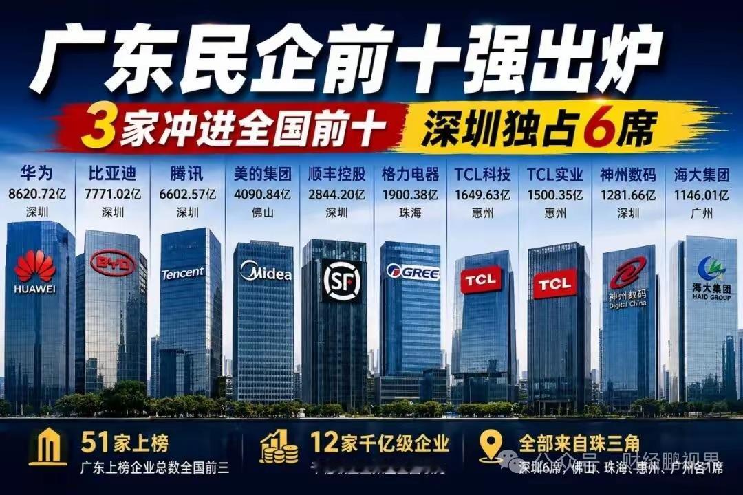 广东民企十强曝光，深圳实力碾压全场
 
广东民企前十强名单出炉，12家千亿级民企
