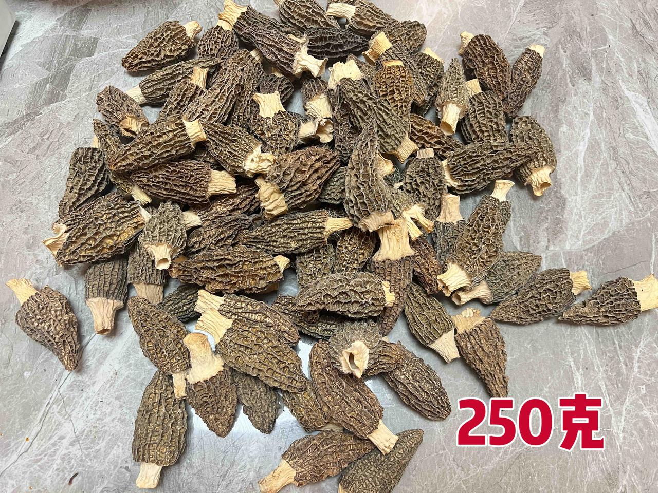 羊肚菌，被誉为“菌中之王”，不仅口感鲜美，营养丰富，而且具有多种药用价值。富含丰