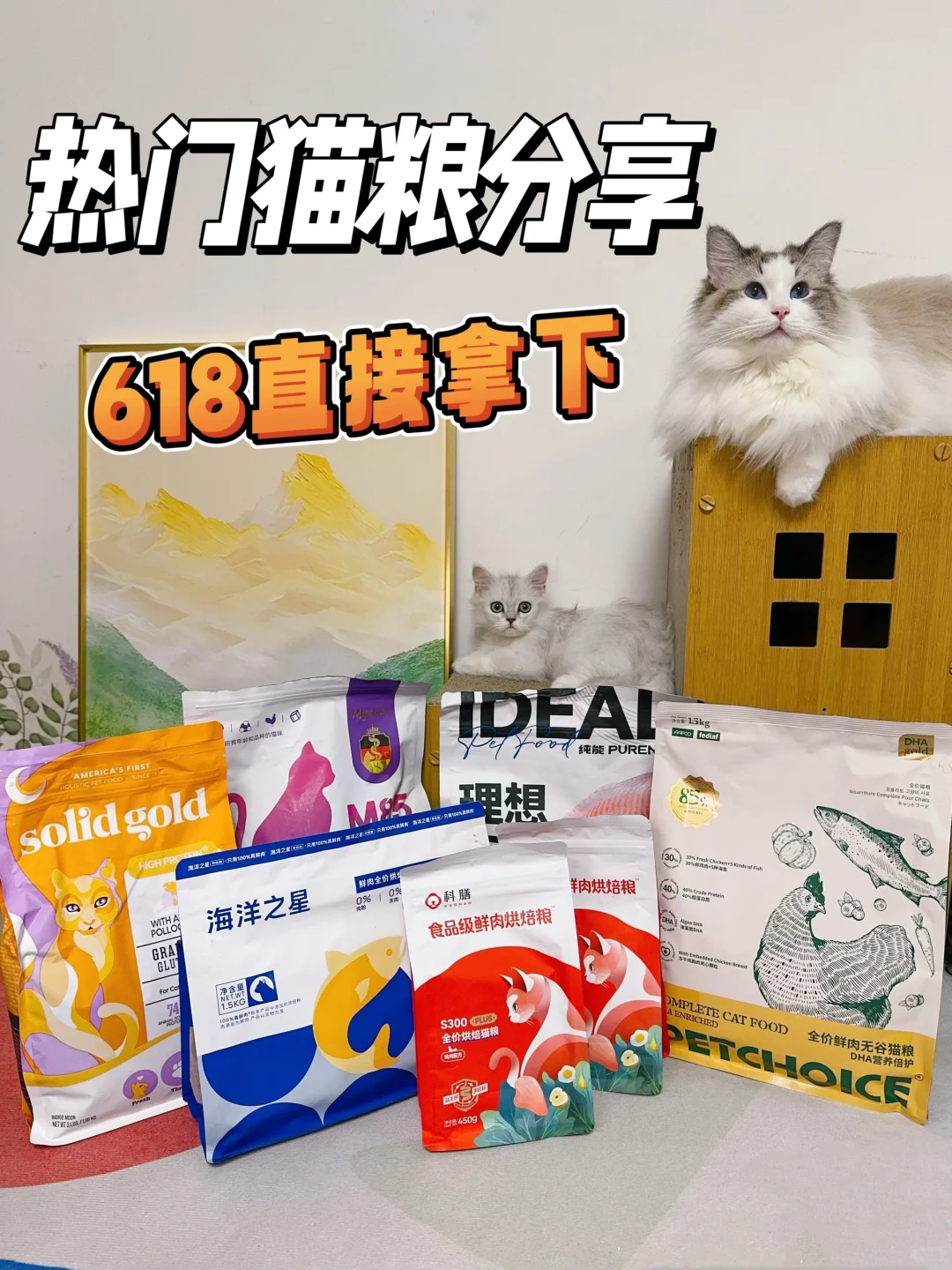 618猫粮怎么选，看这一篇就够啦