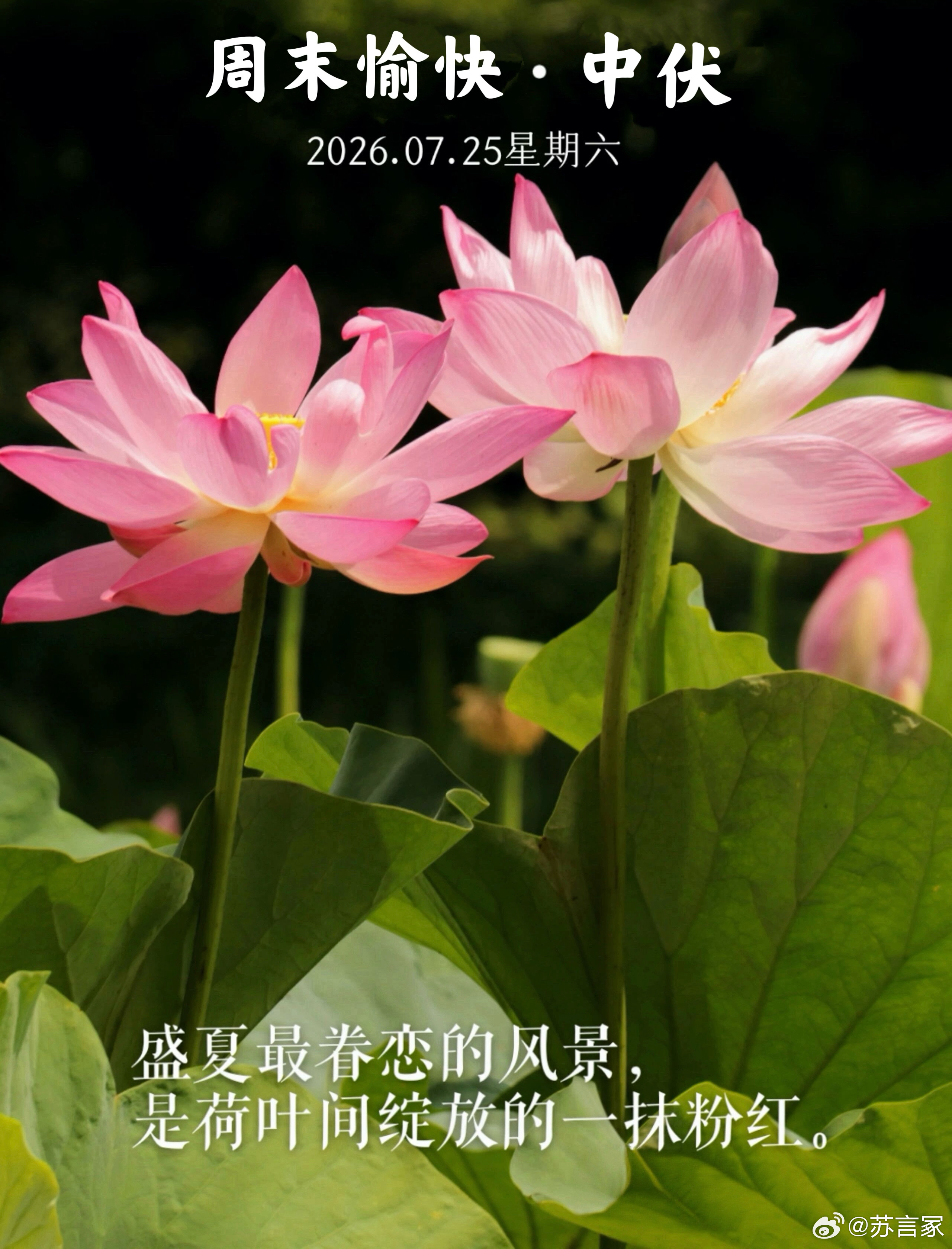 Have  a  special  weekend