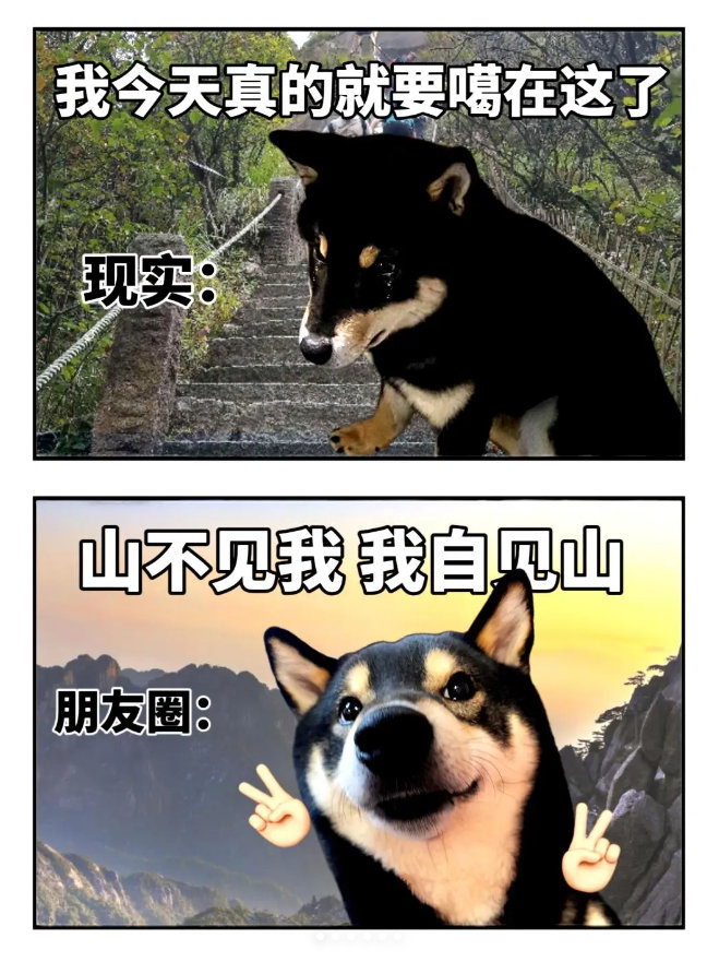 刘嘉玲私人健康顾问被曝光有句话说的好：“你如何对待身体，身体就如何回报你”。看到