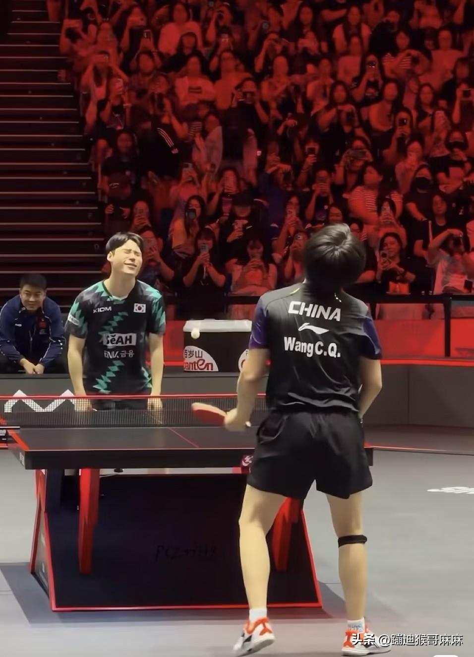 笑发财了！跟王楚钦打球有点危险！要么被打哭，要么被打倒，也有可能被打疯！[捂脸]