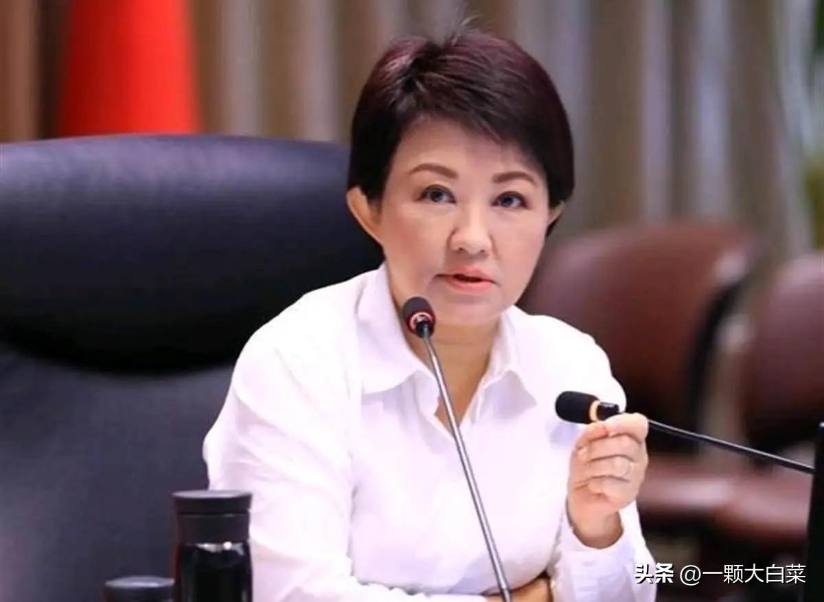 郑丽文获邀访问中国大陆，卢秀燕的表态，非常鸡贼！3月31日，对于郑丽文获邀访问一