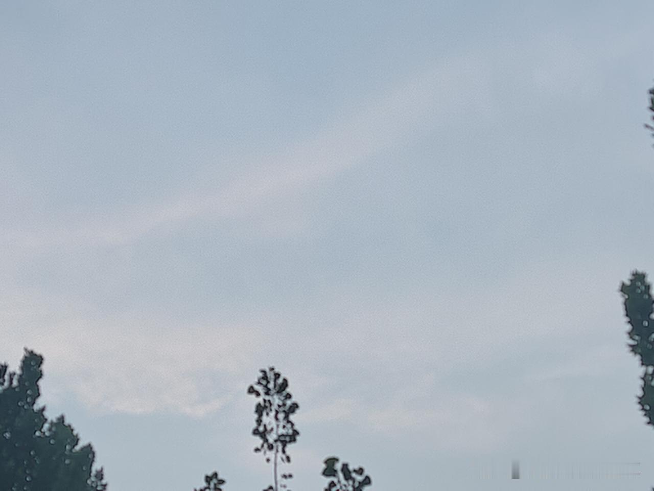 又是崭新的一天
一天好心情