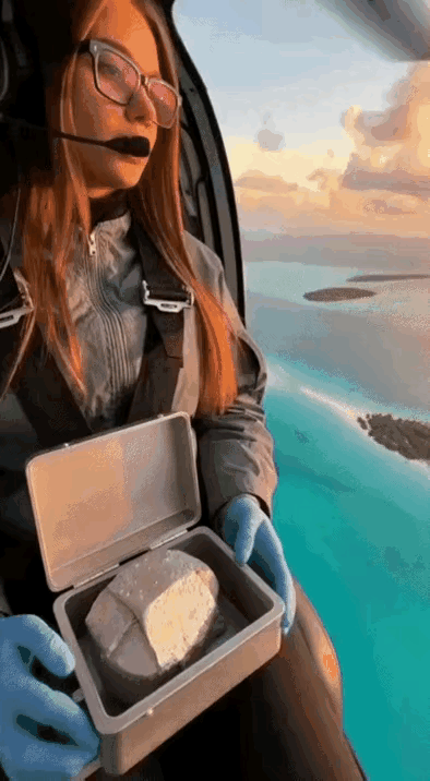 一小块扔水里，堪称小型核弹，破坏力惊人。