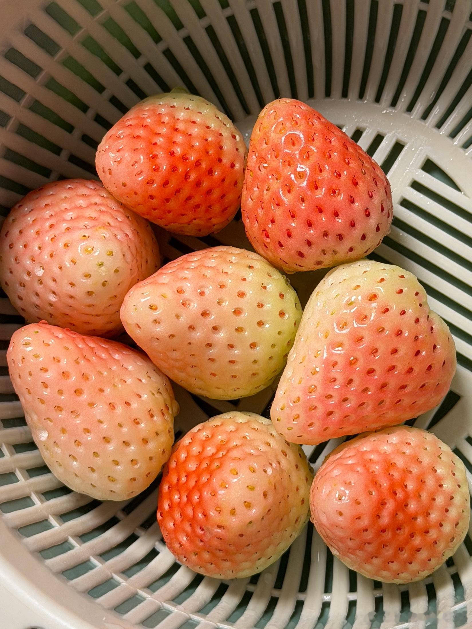 盒马怎天天卖这种发了霉的水果啊。。送到家拿出来就这样都赶上好几次了。。粉色草莓巨