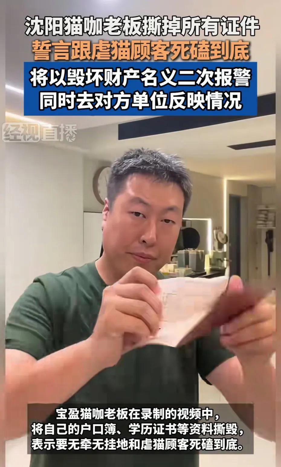 在这个地球上，人和动物本来应该和谐相处，特别是猫咪，非常乖巧和灵性的动物，被很多