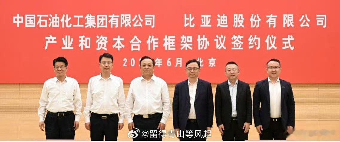 【重磅】比亚迪×中国石化 强强联手！新能源补能革命来了，乘用车体验感升级，电动重