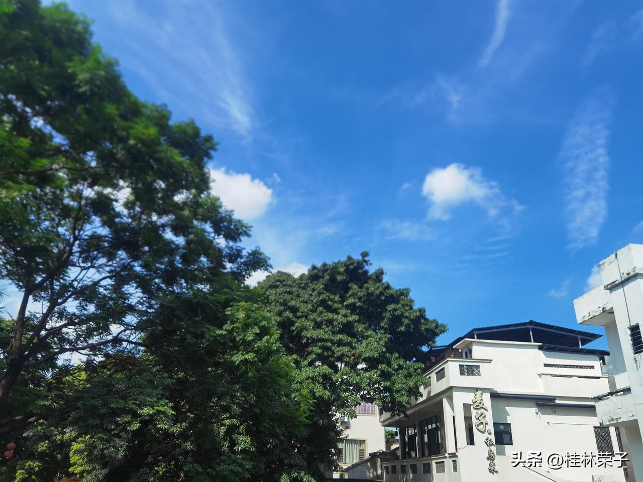 北海舅舅对姚策是骨子里的疼爱！
他公司两位厂长，
一位在北海一位在来宾，
跟他一