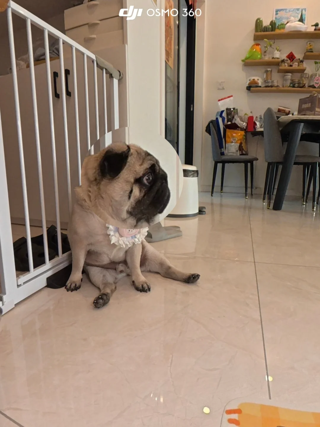 脸都等垮了，饭呢？☹️