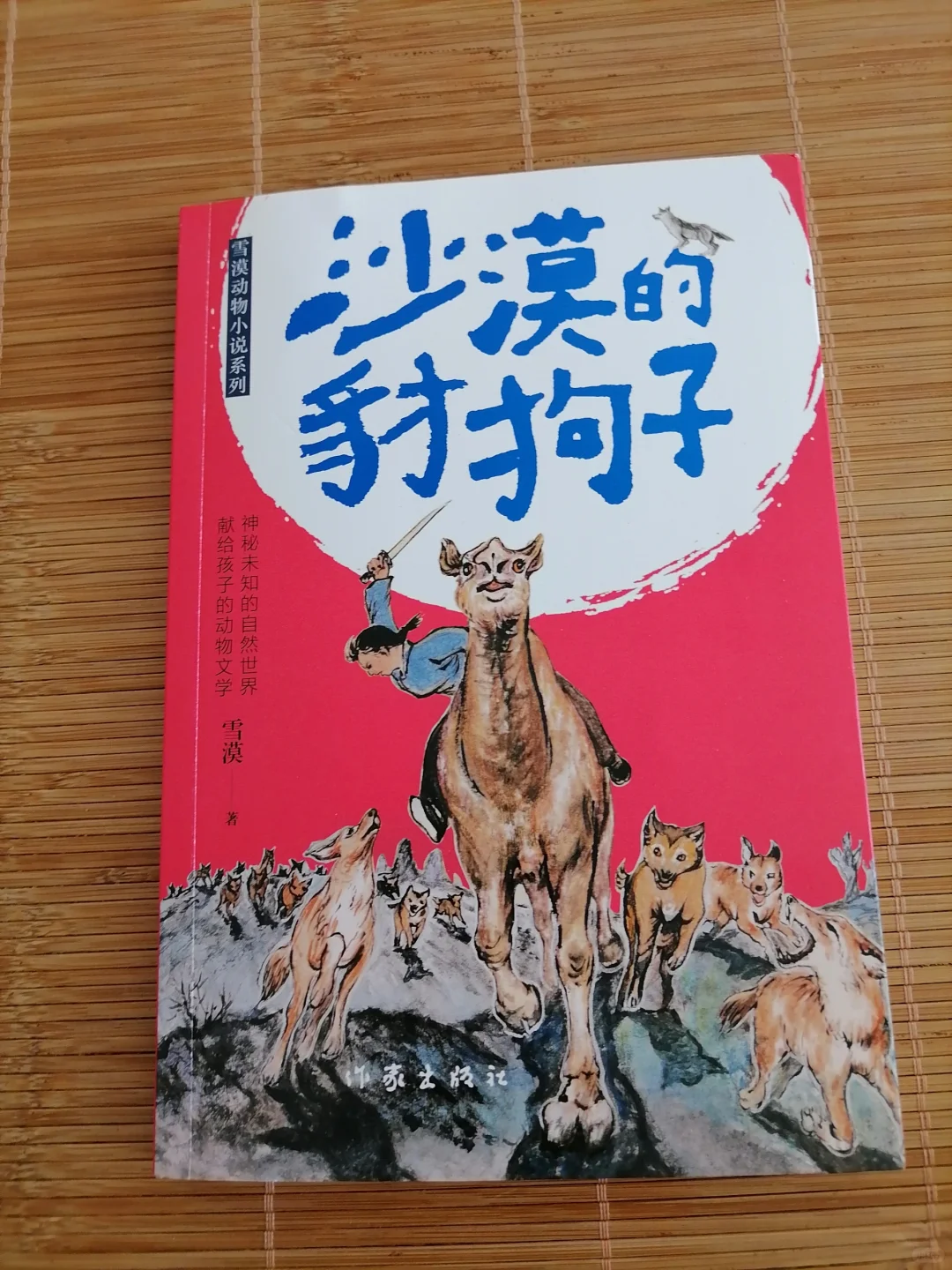 动物与人之间深刻关系的揭示